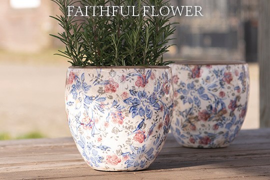 Faithful Flower
