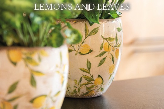 Lemons and Leaves