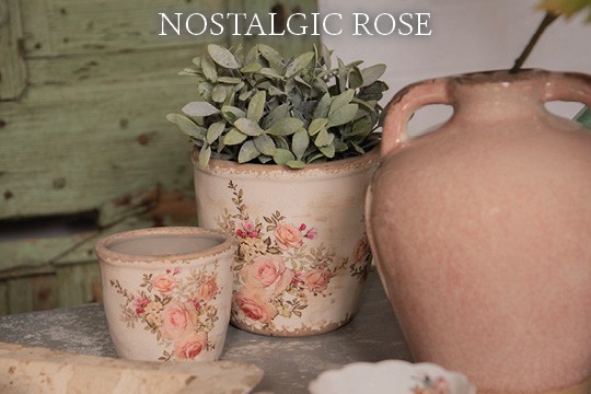 Nostalgic Rose