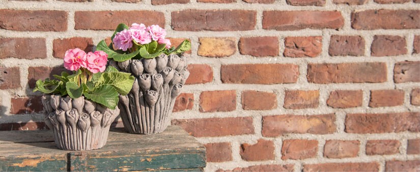 Clayre & Eef Wholesaler in home decorations | B2B conditions
