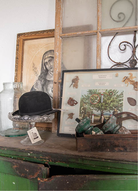 A vintage and rustic composition consisting of various antique objects, displayed on an old, green wooden piece of furniture. At the center sits a black felt hat, resting on a glass tray with a label attached, suggesting it might be for sale in an antique shop or market. Behind the hat is a framed educational poster featuring images and descriptions of various tree species and leaves. To the left of it stands a large glass jar, and partially visible is an antique portrait of a figure, likely of religious nature, framed with an ornate wooden frame. The atmosphere evokes a sense of bygone eras, appealing to history and curiosity enthusiasts.
