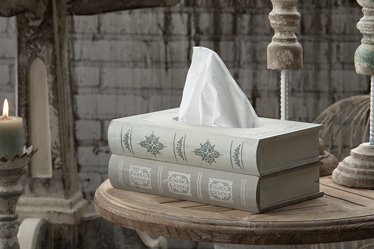 Boîte de mouchoirs grise ressemblant à deux livres empilés dans un style shabby chic