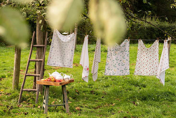 A clothesline with tea towels and a ladder and a stool with a tray filled with apples and a white teapot and milk and sugar set