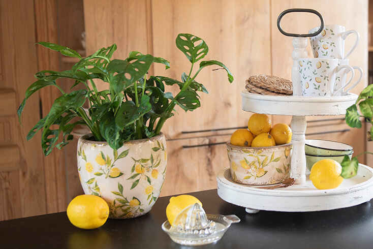 Une étagère blanche remplie d'un pot de fleurs, de tasses, de bols et de dessous de verre, à côté d'un grand pot de fleurs avec des citrons et un presse-citron