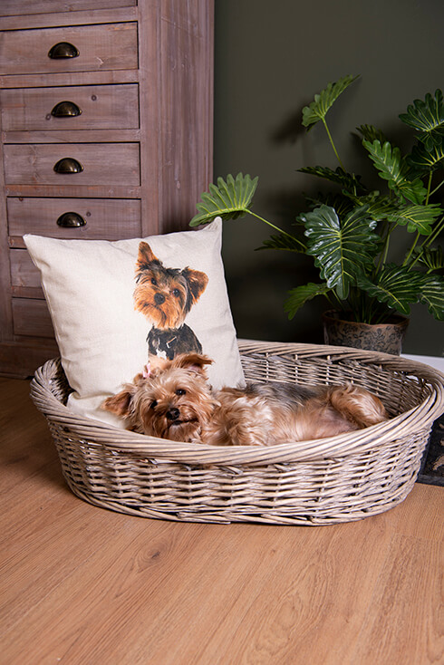A wicker dog bed with a dog inside and a decorative cushion