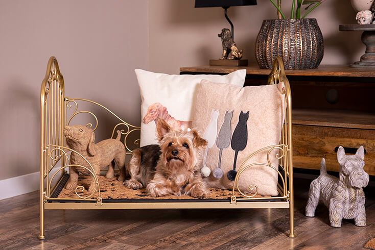 Een goudkleurige hondenbed met twee sierkussens en een rieten honden beeld