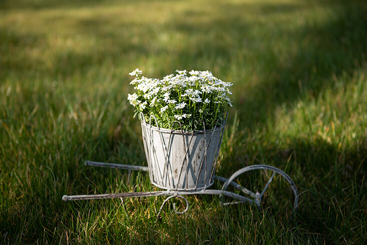 Un support de pot de fleurs pour brouette avec des fleurs blanches à l'intérieur