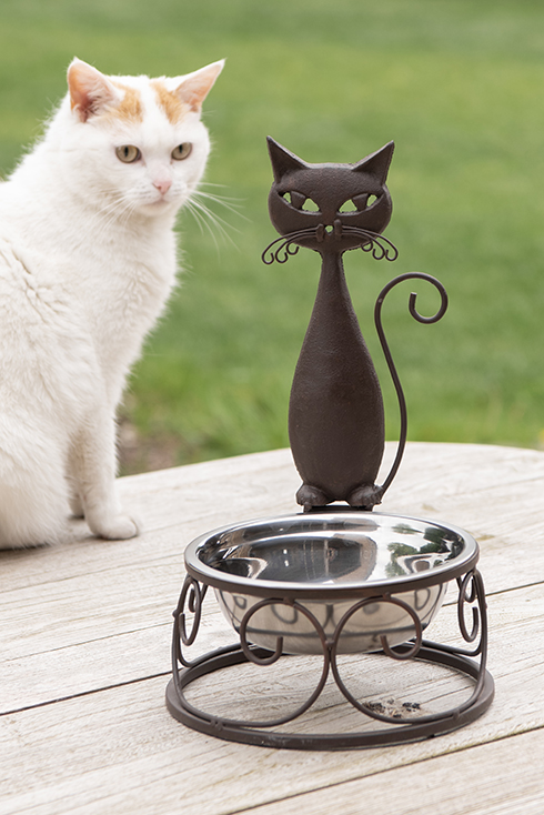 Ein Katzenfutterbehälter mit einer Eisenkatze darauf