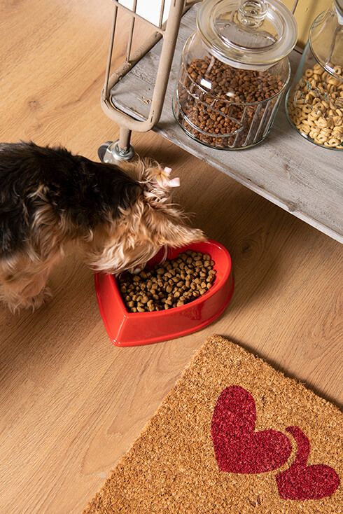 A dog eating from a heart-shaped food bowl