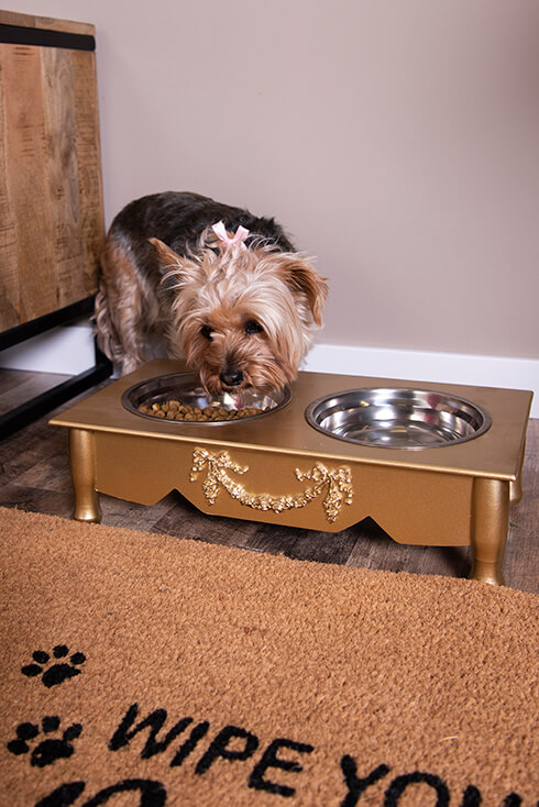 A dog eating from a gold-colored dog food bowl with a water bowl next to it