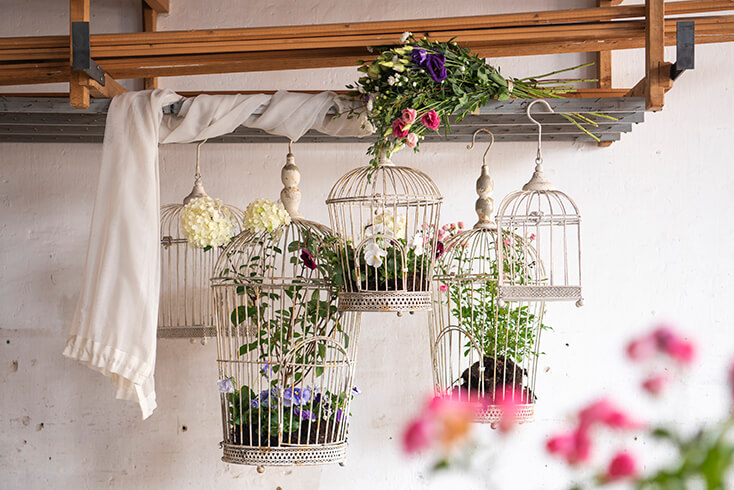 Cinq cages à oiseaux romantiques avec des fleurs à l'intérieur