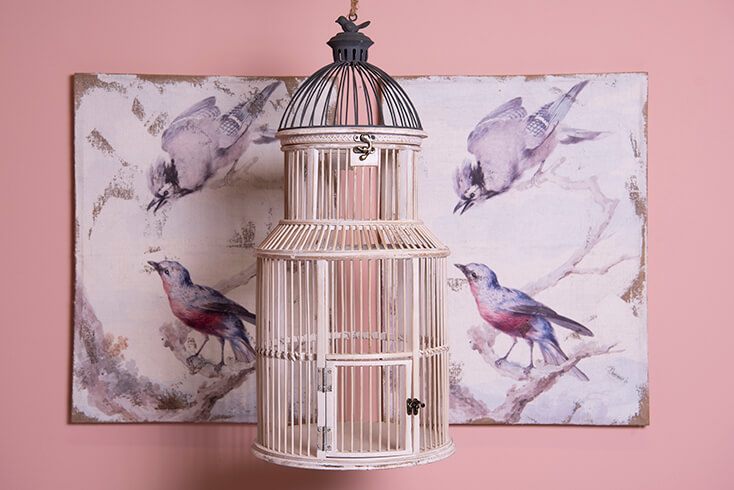 A rural birdcage with two paintings of birds behind it