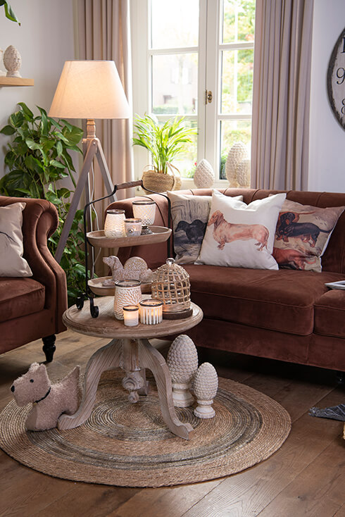 Un soggiorno rurale con divani marroni decorati con cuscini, e in un angolo c'è una grande lampada da terra rurale
