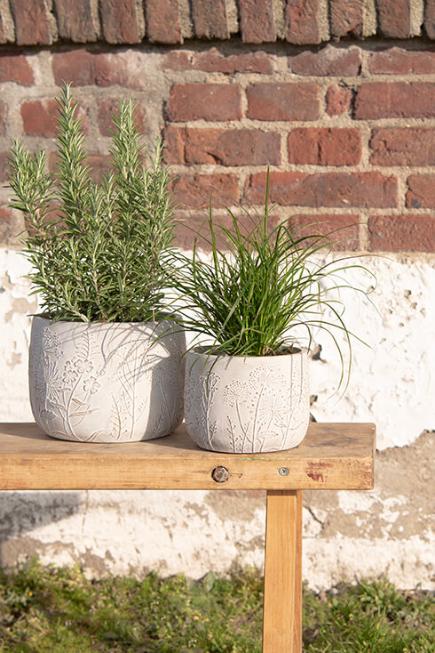 Two flower pots on a wooden bench