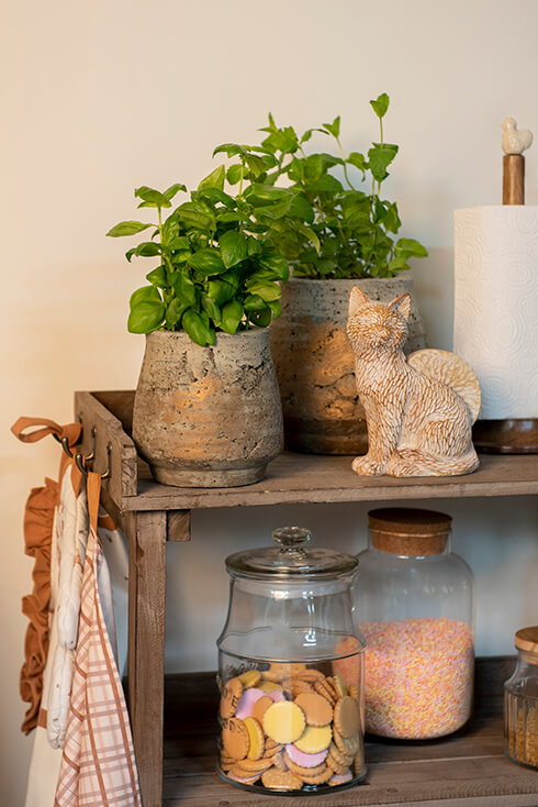 A cabinet with flower pots, a kitchen roll holder, glass jars, and a cat figurine on top