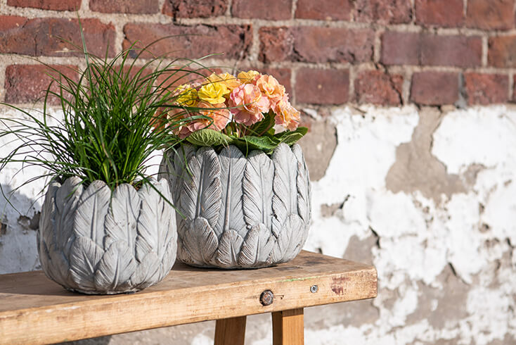 Two flower pots on a wooden bench