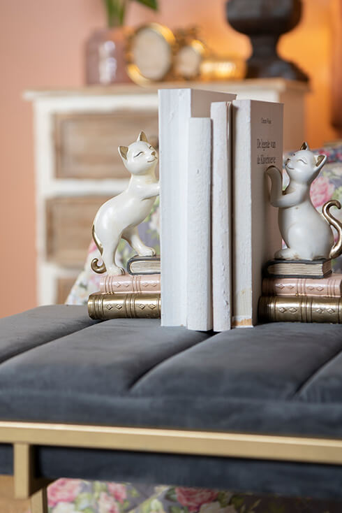 Zwei Buchstützen aus weißen Kätzchen, die auf einem Stapel Bücher stehen