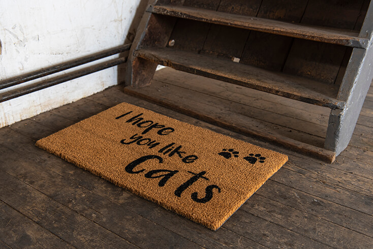 Een deurmat voor kattenliefhebbers waar op staat 'I hope you like cats'