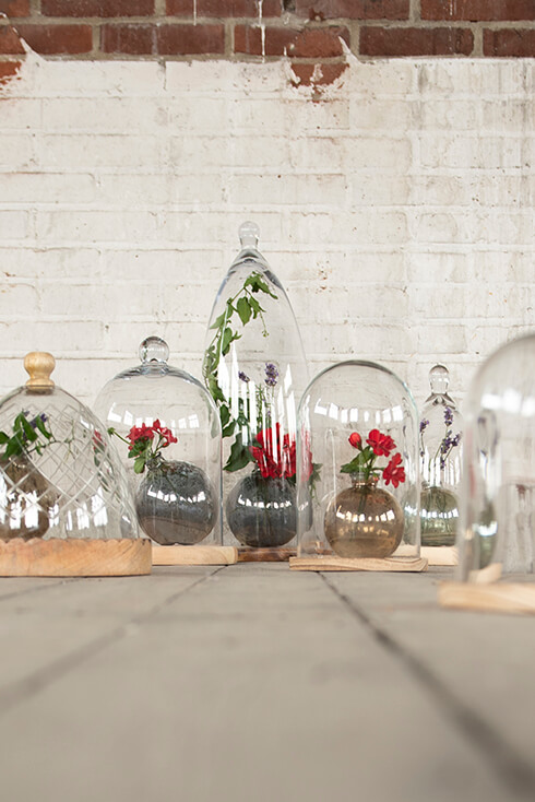 Des cloches en verre avec de petits pots de fleurs en verre