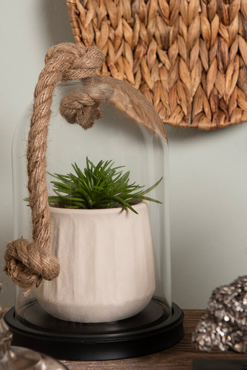 A glass bell jar with a flower pot