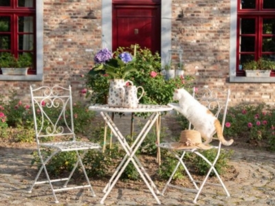 Enhance Your Outdoor Haven: Discover Top Garden Accessories!